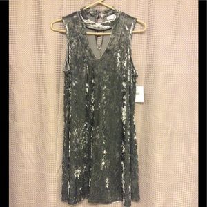 NWT Green Gray Velvet Tunic